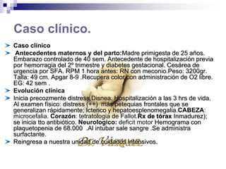 Caso clínico.
Caso clínico
Antecedentes maternos y del parto:Madre primigesta de 25 años.
Embarazo controlado de 40 sem. Antecedente de hospitalización previa
por hemorragia del 2º trimestre y diabetes gestacional. Cesárea de
urgencia por SFA. RPM 1 hora antes: RN con meconio.Peso: 3200gr.
Talla: 49 cm. Apgar 8-9 .Recupera color con administración de O2 libre.
EG: 42 sem .
Evolución clínica
Inicia precozmente distress.Disnea. Hospitalización a las 3 hrs de vida.
Al examen físico: distress (++) más petequias frontales que se
generalizan rápidamente; Icterico y hepatoesplenomegalia.CABEZA:
microcefalia. Corazón: tetratologia de Fallot.Rx de tórax Inmadurez); se
inicia tto antibiótico. Neurologico: deficit motor Hemograma con
plaquetopenia de 68.000 .Al intubar sale sangre .Se administra
surfactante.
Reingresa a nuestra unidad de cuidados intensivos.
 