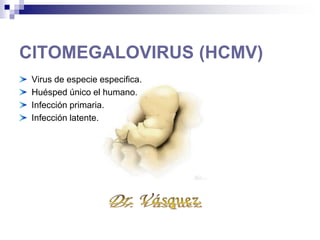 CITOMEGALOVIRUS (HCMV)
Virus de especie especifica.
Huésped único el humano.
Infección primaria.
Infección latente.
 