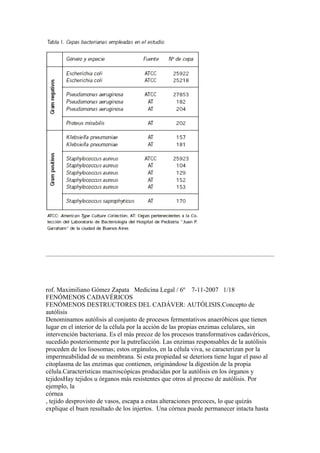rof. Maximiliano Gómez Zapata Medicina Legal / 6º 7-11-2007 1/18
FENÓMENOS CADAVÉRICOS
FENÓMENOS DESTRUCTORES DEL CADÁVER: AUTÓLISIS.Concepto de
autólisis
Denominamos autólisis al conjunto de procesos fermentativos anaeróbicos que tienen
lugar en el interior de la célula por la acción de las propias enzimas celulares, sin
intervención bacteriana. Es el más precoz de los procesos transformativos cadavéricos,
sucedido posteriormente por la putrefacción. Las enzimas responsables de la autólisis
proceden de los lisosomas; estos orgánulos, en la célula viva, se caracterizan por la
impermeabilidad de su membrana. Si esta propiedad se deteriora tiene lugar el paso al
citoplasma de las enzimas que contienen, originándose la digestión de la propia
célula.Características macroscópicas producidas por la autólisis en los órganos y
tejidosHay tejidos u órganos más resistentes que otros al proceso de autólisis. Por
ejemplo, la
córnea
, tejido desprovisto de vasos, escapa a estas alteraciones precoces, lo que quizás
explique el buen resultado de los injertos. Una córnea puede permanecer intacta hasta
 