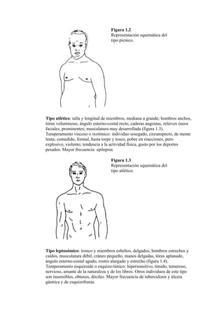 Figura 1.2
                                    Representación squemática del
                                    tipo pícnico.




Tipo atlético: talla y longitud de miembros, mediana a grande; hombros anchos,
tórax voluminoso, ángulo esterno-costal recto, caderas angostas, relieves óseos
faciales, prominentes; musculatura muy desarrollada (figura 1.3).
Temperamento viscoso o ixotímico: individuo sosegado, circunspecto, de mente
lenta; comedido, formal, hasta torpe y tosco, pobre en reacciones, pero
explosivo, violento; tendencia a la actividad física, gusto por los deportes
pesados. Mayor frecuencia: epilepsia.

                                    Figura 1.3
                                    Representación squemática del
                                    tipo atlético.




Tipo leptosómico: tronco y miembros esbeltos, delgados; hombros estrechos y
caídos, musculatura débil, cráneo pequeño, manos delgadas, tórax aplanado,
ángulo esterno-costal agudo, rostro alargado y estrecho (figura 1.4).
Temperamento esquizoide o esquizo-tímico: hipersensitivo, tímido, temeroso,
nervioso, amante de la naturaleza y de los libros. Otros individuos de este tipo
son insensibles, obtusos, dóciles. Mayor frecuencia de tuberculosis y úlcera
gástrica y de esquizofrenia.
 