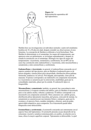 Figura 1.4
                                   Representación squemática del
                                   tipo leptosómico.




Sheldon hizo sus investigaciones en individuos normales: cuatro mil estudiantes
hombres de 18 a 20 años de edad; después extendió sus observaciones al sexo
femenino. La concepción de Sheldon es diferente a la de Kretschmer. Para
Sheldon lo determinante es el somatotipo, los rasgos del temperamento, que
aparecen como un epifenómeno, se investigan separadamente y después se
estudia la correlación con el somatotipo. Distingue tres tipos de rasgos del
temperamento: viscerotonía, somatotonía y cerebrotonía. En un 80% de los
casos hay correlación entre endomorfismo y viscerotonía, entre mesomorfismo y
somatotonía y entre ectomorfismo y cerebrotonía.

Endomorfismo y viscerotonía: en general, el endomorfismo concuerda con el
aspecto somático del tipo pícnico, pero en Sheldon el endomorfo puro es de
huesos delgados; sistema piloso poco desarrollado, distribución pilosa pubiana
feminoide; tendencia a la calvicie. Piel delgada, aterciopelada, como piel de
manzana. El pícnico corresponde a un endomorfo con componente mesomorfo.
La viscerotonía se caracteriza por la extraversión, amabilidad, gusto por la
comodidades materiales, placer por la comida. El endomorfo típico es
braquicéfalo.

Mesomorfismo y somatotonía: también, en general, hay concordancia entre
mesomorfismo y el aspecto somático del atlético, pero en Sheldon el mesomorfo
puro es de caderas anchas, robustas y poderosas. El atlético corresponde a un
mesomorfo con componente ectomorfo. Otros caracteres son: cabello grueso,
distribución pilosa típicamente masculina, piel gruesa, como piel de naranja. La
somatotonía se caracteriza por movimientos firmes y enérgicos, gusto por la
aventura y el ejercicio físico, modales intrépidos y directos, ansia de poder,
agresividad competitiva, poca compasión. En el mesomorfo puede haber
braquicelia como dolicocefalia.

Ectomorfismo y cerebrotonía: el ectomorfo concuerda casi enteramente con el
aspecto físico del leptosómico. El ectomorfo presenta escaso desarrollo de las
estructuras visceral y somática (osteomuscular), en cambio, en relación con la
masa, ofrece la mayor superficie corporal. Típicamente es dolicocéfalo. La piel
 