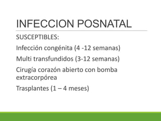 INFECCION POSNATAL
SUSCEPTIBLES:
Infección congénita (4 -12 semanas)
Multi transfundidos (3-12 semanas)
Cirugía corazón abierto con bomba
extracorpórea
Trasplantes (1 – 4 meses)
 