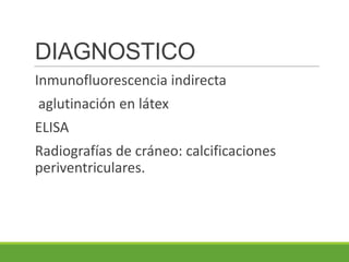 DIAGNOSTICO
Inmunofluorescencia indirecta
aglutinación en látex
ELISA
Radiografías de cráneo: calcificaciones
periventriculares.
 