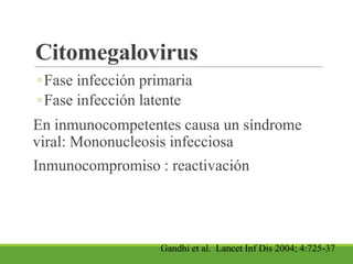Citomegalovirus
◦Fase infección primaria
◦Fase infección latente
En inmunocompetentes causa un síndrome
viral: Mononucleosis infecciosa
Inmunocompromiso : reactivación
Gandhi et al. Lancet Inf Dis 2004; 4:725-37
 