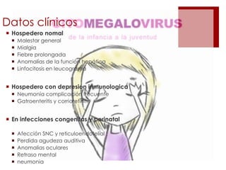 Datos clínicos
 Hospedero nomal






Malestar general
Mialgia
Fiebre prolongada
Anomalías de la función hepática
Linfocitosis en leucograma

 Hospedero con depresión inmunologica
 Neumonía complicación frecuente
 Gatroenteritis y corrioretinitis

 En infecciones congenitas y perinatal






Afección SNC y reticuloendotelial
Perdida agudeza auditiva
Anomalias oculares
Retraso mental
neumonia

 