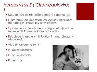 Herpes virus 5 ( Citomegalovirus
)
 Mas común de infección congénita (perinatal).
 CMV produce infección en células epiteliales,
macrófagos, linfocitos y otras células.
 Se adquiere a través de la sangre, el tejido y la
mayoría de las secreciones corporales.
 Establece latencia en linfocitos T , macrófagos y
otras células.
 Vida en ambiente 30min
 Infección primaria
 Infeccion latente
 Endemico

 