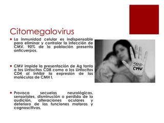 Citomegalovirus
 La inmunidad celular es indispensable
para eliminar y controlar la infección de
CMV. 90% de la población presenta
anticuerpos.

 CMV impide la presentación de Ag tanto
a los Linfocitos CD8 como a los Linfocitos
CD4 al inhibir la expresión de las
moléculas de CMH I.

 Provoca
secuelas
neurológicas,
sensoriales, disminución o perdida de la
audición,
alteraciones
oculares
y
deterioro de las funciones motoras y
cognoscitivas.

 