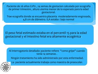 Paciente de 26 años G1P0 , 24 semas de gestacion calculada por ecografia
de primer trimestre , altura uterina menor de lo esperado para la edad
gestacional.
Trae ecografia donde se encuentra placenta moderadamente engrosada,
4,8 cm de diámetro. ILA estaba : bajo normal
El peso fetal estimado estaba en el percentil 15 para la edad
gestacional y el intestino fetal era altamente ecogénica.
Al interrogatorio detallado: paciente refiere “como gripe" cuando
tenia 14 semanas .
Ningún tratamiento ha sido administrado por esta enfermedad.
La paciente actualmente trabaja como maestra de preescolar.
 