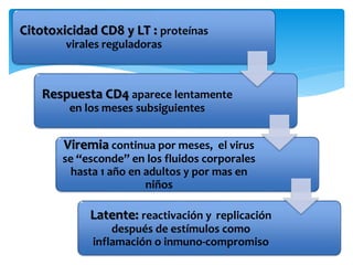 Citotoxicidad CD8 y LT : proteínas
virales reguladoras
Respuesta CD4 aparece lentamente
en los meses subsiguientes
Viremia continua por meses, el virus
se “esconde” en los fluidos corporales
hasta 1 año en adultos y por mas en
niños
Latente: reactivación y replicación
después de estímulos como
inflamación o inmuno-compromiso
 