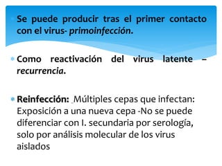  Se puede producir tras el primer contacto
con el virus- primoinfección.
 Como reactivación del virus latente –
recurrencia.
 Reinfección: Múltiples cepas que infectan:
Exposición a una nueva cepa -No se puede
diferenciar con I. secundaria por serología,
solo por análisis molecular de los virus
aislados
 