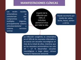 MANIFESTACIONES CLÍNICAS
A partir de la
infección por
CMV, el
individuo
portará el virus
por toda la vida.
La infección congénita es sintomática
en el 10% de los neonatos infectados y
se asocia con secuelas neurológicas en
más de la mitad de ellos, mientras que
en los neonatos asintomáticos tan solo
10 – 17 % desarrollan secuelas
neurológicas a largo plazo: retraso
mental e hipoacusia sensorial.
Los recién nacidos
sintomáticos se
caracterizan por
compromiso de
múltiples órganos,
principalmente sistema
reticoloendotelial y
sistema nervioso
central.
Puede excretarlo por
medio de: saliva,
leche, heces, semen
y cérvix.
 