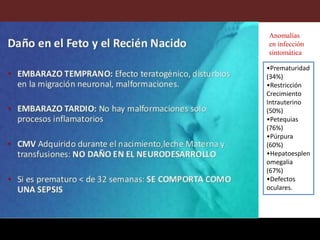 •Prematuridad
(34%)
•Restricción
Crecimiento
Intrauterino
(50%)
•Petequias
(76%)
•Púrpura
(60%)
•Hepatoesplen
omegalia
(67%)
•Defectos
oculares.
Anomalías
en infección
sintomática
 