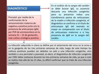 DIAGNÓSTICO
Prenatal: por medio de la
confirmación de la
seroconversión materna de
negativa a positiva junto con la
presencia de anticuerpos IgM;
por PCR de amniocentesis en la
semana 21 – 22 de gestación,
más cultivo virológico positivo.
La infección adquirida in útero se define por el aislamiento del virus en la orina o
en la garganta de las tres primeras semanas de vida; luego de este tiempo los
cultivos positivos pueden ser debidos no solo a una infección congénita, sino
también a una perinatal o posnatal, es decir, el diagnóstico de infección congénita
por CMV debe realizarse durante las tres primeras semanas de vida, ya que si este
se realiza más allá de los 21 días, es difícil confirmar que se trate de una infección
congénita.
En el análisis de la sangre del cordón
se debe buscar IgG, su ausencia
descarta una infección congénita
pero su presencia indica una
transferencia pasiva de anticuerpos
de la madre o infección congénita, el
diagnóstico se confirma si el título de
anticuerpos IgG del neonato es
mayor en comparación con el título
de anticuerpos maternos o si hay
presencia de IgM en la sangre del
cordón.
 