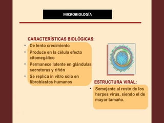MICROBIOLOGÍA
 