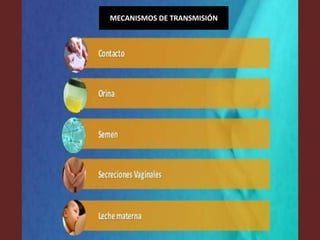 MECANISMOS DE TRANSMISIÓN
 