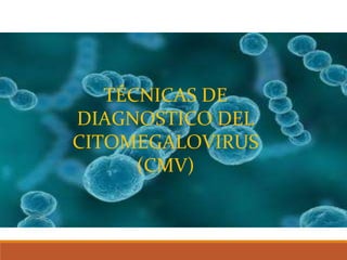 TÉCNICAS DE
DIAGNOSTICO DEL
CITOMEGALOVIRUS
(CMV)
 