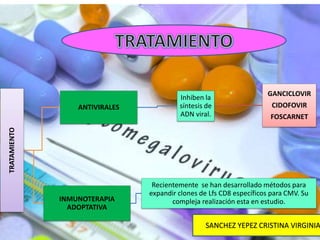 TRATAMIENTO
ANTIVIRALES
Inhiben la
síntesis de
ADN viral.
GANCICLOVIR
CIDOFOVIR
FOSCARNET
INMUNOTERAPIA
ADOPTATIVA
Recientemente se han desarrollado métodos para
expandir clones de Lfs CD8 específicos para CMV. Su
compleja realización esta en estudio.
SANCHEZ YEPEZ CRISTINA VIRGINIA
 