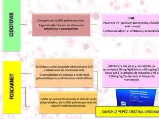 CIDOFOVIR
Compite por la ADN polimerasa viral.
Segunda elección por ser altamente
nefrotóxico y neutropénico.
USO:
Pacientes VIH positivos con rEtinitis y función
renal normal
Contraindicado en el embarazo y la lactancia
FOSCARNET
Inhibe no competitivamente al sitio de unión
del pirofosfato de la ADN polimerasa viral, sin
requerir fosforilación previa.
Se utiliza cuando no puede administrarse GCV
o situaciones de resistencia viral.
Gran toxicidad, en especial a nivel renal,
granulocitopenia y alteraciones electrolíticas
Administra por vía iv y, en retinitis, se
recomienda 60 mg/kg/8 horas o 90 mg/kg/12
horas por 2-3 semanas de inducción y 90 o
120 mg/kg/día durante el tiempo de
mantención.
SANCHEZ YEPEZ CRISTINA VIRGINIA
 