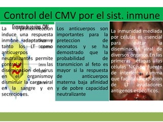 Control del CMV por el sist. inmune
La primoinfeccion
induce una respuesta
inmune adaptativa y
tanto los LT como
anticuerpos
neutralizantes permite
controlar las
diseminacion del virus
en el organismoy
disminuir la carga viral
en la sangre y en
secreciones.
Los anticuerpos son
importantes para la
preteccion de
neonatos y se ha
demostrado que la
probabilidad de
transmicion al feto es
mayor si la respuesta
de anticuerpos
materna baja afinidad
y de pobre capacidad
neutralizante
La inmunidad mediada
por células es esencial
para evitar la
diseminación viral de
diversos organos.En las
primeras etapas las
células NK son fuente
de interferon gamma
que facilita la expacion
de LT ayudadores
antígenos específicos.
 