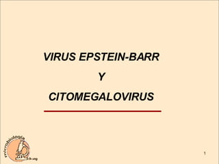VIRUS EPSTEIN-BARR Y CITOMEGALOVIRUS 