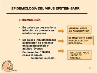 EPIDEMIOLOGÍA DEL VIRUS EPSTEIN-BARR EPIDEMIOLOGÍA:   En países en desarrollo la infección se presenta en edades tempranas  En países industrializados la infección se presenta en la adolescencia y adultos jóvenes Se presentan 100,000 casos al año de  de mononucleosis. GENERALMENTE ES ASINTOMÁTICA SE MANIFIESTA COMO MONONUCLEOSIS INFECCIOSA EN LOS ESTADOS UNIDOS DE AMÉRICA. 