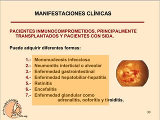 MANIFESTACIONES CLÍNICAS  PACIENTES INMUNOCOMPROMETIDOS, PRINCIPALMENTE TRANSPLANTADOS Y PACIENTES CON SIDA. Puede adquirir diferentes formas: 1.-  Mononucleosis infecciosa 2.-  Neumonitis interticial o alveolar 3.-  Enfermedad gastrointestinal 4.-  Enfermedad hepatobiliar-hepatitis 5.-  Retinitis 6.-  Encefalitis 7.-  Enfermedad glandular como  adrenalitis, ooforitis y tiroiditis. 