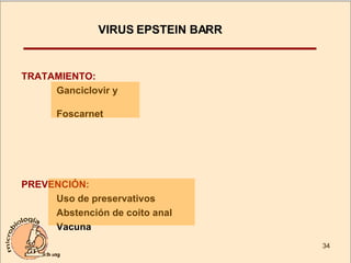 VIRUS EPSTEIN BARR  TRATAMIENTO: Ganciclovir y  Foscarnet PREVENCIÓN: Uso de preservativos Abstención de coito anal Vacuna 