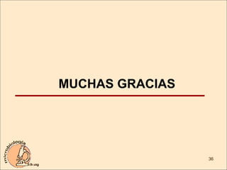 MUCHAS GRACIAS 