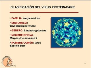 CLASIFICACIÓN DEL VIRUS  EPSTEIN-BARR FAMILIA :  Herpesviridae SUBFAMILIA :  Gammaherpesvirinae GENERO :  Linphocryptovirus NOMBRE OFICIAL : Herpesvirus humano 4 NOMBRE COMÚN : Virus Epstein-Barr 