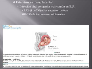 Este virus es transplacental Infección viral congenita más común en E.U. 5,500 (1 de 750) niños nacen con defecto 10-15% de los casos son asintomatico 