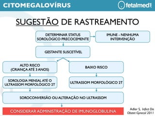 CITOMEGALOVÍRUS

     SUGESTÃO DE RASTREAMENTO
                   DETERMINAR STATUS               IMUNE - NENHUMA
               SOROLÓGICO PRECOCEMENTE               INTERVENÇÃO


                   GESTANTE SUSCETÍVEL


       ALTO RISCO
                                         BAIXO RISCO
  (CRIANÇA ATÉ 3 ANOS)


  SOROLOGIA MENSAL ATÉ O
                               ULTRASSOM MORFOLÓGICO 2T
ULTRASSOM MORFOLÓGICO 2T


       SOROCONVERSÃO OU ALTERAÇÃO NO ULTRASSOM


                                                             Adler S, Infect Dis
  CONSIDERAR ADMINISTRAÇÃO DE IMUNOGLOBULINA                Obstet Gynecol 2011
 
