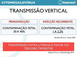CITOMEGALOVÍRUS

   TRANSMISSÃO VERTICAL
   PRIMOINFECÇÃO       INFECÇÃO RECORRENTE

CONTAMINAÇÃO FETAL    CONTAMINAÇÃO FETAL
     30 A 40%              1 A 2,2%
                                   Brandão RS et al., Femina 2003



   TRANSMISSÃO INTRA-UTERINA É MAIOR NO
            TERCEIRO TRIMESTRE
                          Bodéus M et al., J Clinical Virology 2010
 