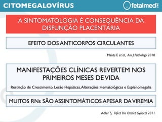 CITOMEGALOVÍRUS

     A SINTOMATOLOGIA É CONSEQUÊNCIA DA
            DISFUNÇÃO PLACENTÁRIA

           EFEITO DOS ANTICORPOS CIRCULANTES
                                                          Maidji E et al., Am J Pathology 2010



    MANIFESTAÇÕES CLÍNICAS REVERTEM NOS
           PRIMEIROS MESES DE VIDA
 Restrição de Crescimento, Lesão Hepáticas, Alterações Hematológicas e Esplenomegalia


 MUITOS RNs SÃO ASSINTOMÁTICOS APESAR DA VIREMIA
                                                      Adler S, Infect Dis Obstet Gynecol 2011
 