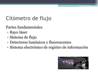 Citómetro de flujo
Partes fundamentales
• Rayo láser
• Sistema de flujo
• Detectores lumínicos y fluorescentes
• Sistema electrónico de registro de información
 