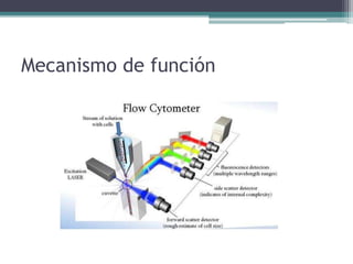Mecanismo de función
 