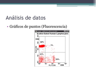 Análisis de datos
• Gráficos de puntos (Fluorescencia)
 