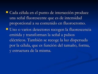 Cada célula en el punto de interacción produce una señal fluorescente que es de intensidad proporcional a su contenido en fluorocromo.  Uno o varios detectores recogen la fluorescencia emitida y transforman la señal a pulsos eléctricos. También se recoge la luz dispersada por la célula, que es función del tamaño, forma, y estructura de la misma.  