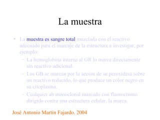 La muestra La  muestra es sangre total  mezclada con el reactivo adecuado para el marcaje de la estructura a investigar, por ejemplo: La hemoglobina interna al GR lo marca directamente sin reactivo adicional. Los GB se marcan por la accion de su peroxidasa sobre un reactivo reducido, lo que produce un color negro en su citoplasma. Cualquier ab monoclonal marcado con fluorocromo dirigido contra una estructura celular, la marca. José Antonio Martìn Fajardo. 2004 