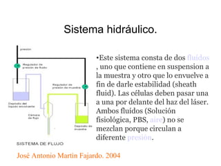 Sistema hidráulico. Este sistema consta de dos  fluídos , uno que contiene en suspension a la muestra y otro que lo envuelve a fin de darle estabilidad (sheath fluid). Las células deben pasar una a una por delante del haz del láser. Ambos fluídos (Solución fisiológica, PBS,  aire ) no se mezclan porque circulan a diferente  presión . José Antonio Martìn Fajardo. 2004 