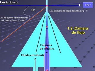 1.2. Cámara  de flujo FSC 90º Fluido envolvente Columna  de muestra Luz dispersada lateralmente  y luz fluorescente,   = 90 º Luz incidente Luz dispersada hacia delante,   = 2- 4º 