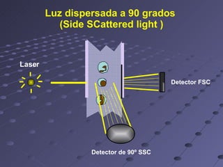 Luz dispersada a 90 grados  (Side SCattered light ) Detector FSC Detector de 90º SSC Laser 