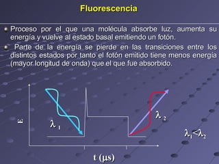 Fluorescencia Proceso por el que una molécula absorbe luz, aumenta su energía y vuelve al estado basal emitiendo un fotón. Parte de la energía se pierde en las transiciones entre los distintos estados por tanto el fotón emitido tiene menos energía (mayor longitud de onda) que el que fue absorbido. t (  s) E  1 <  2    1    2 