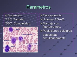 Parámetros Dispersión: *FSC: Tamaño *SSC: Complejidad. Fluorescencia: Uniones AG-AC Marcaje con fluorocromos. Poblaciones celulares  detectadas simultáneamente. 