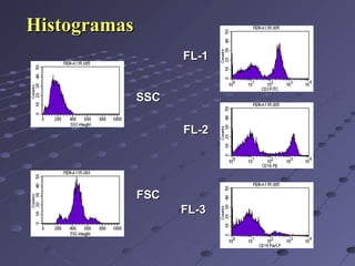 Histogramas SSC FSC FL-1 FL-2 FL-3 