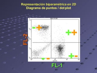 Representación biparamétrica en 2D Diagrama de puntos / dot plot + + - - + + - - FL-1 FL-2 