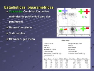Estadisticas  biparamétricas Cuadrantes  Combinación de dos umbrales de positividad para dos parámetros Número de células % de células MFI mean, geo mean + - - + + - + - U L U L LL L R 