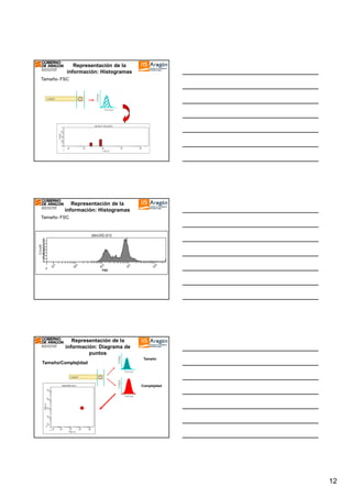 Representación de la
información: Histogramas

Voltaje

Tamaño- FSC

Laser

Tiempo

Representación de la
información: Histogramas
Tamaño- FSC

FSC

Tamaño/Complejidad

Voltaje

Representación de la
información: Diagrama de
puntos
Tamaño

Tiempo

Voltaje

Laser
Complejidad
Tiempo

12

 