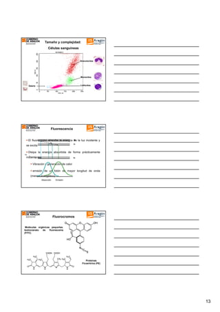 Tamaño y complejidad:
Células sanguíneas

Granulocitos

Monocitos

Linfocitos

Debris

Fluorescencia

S2
El fluorocromo absorbe la energía de la luz incidente y
S1

se excita

Disipa la energía absorbida de forma prácticamente
hλ

instantánea:

S0

Vibración y generación de calor
emisión de un fotón de mayor longitud de onda
(menos energético)
Absorción

Emisión

Fluorocromos
Moléculas orgánicas pequeñas.
Isotiocianato
de
fluoresceina
(FITC)

Proteínas.
Ficoeritrina (PE)

13

 