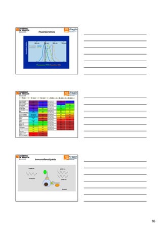 Intensidad relativa

Fluorocromos

400 nm

500 nm

600 nm

700 nm

Excitation
Emission

Fluoresceina (FITC) Ficoeritrina (PE)

Inmunofenotipado

λ=488 nm

Excitación

λ=520 nm

λ=580 nm

Emisión

16

 