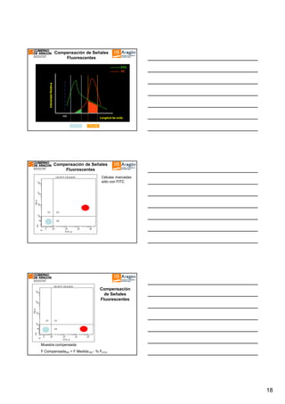 Compensación de Señales
Fluorescentes

Intensidad Relativa

FITC
PE

488

Longitud de onda
505505-520

570570-590

Compensación de Señales
Fluorescentes
Células marcadas
sólo con FITC

Compensación
de Señales
Fluorescentes

Muestra compensada
F CompensadaPE = F Medida PE - % FFITC

18

 